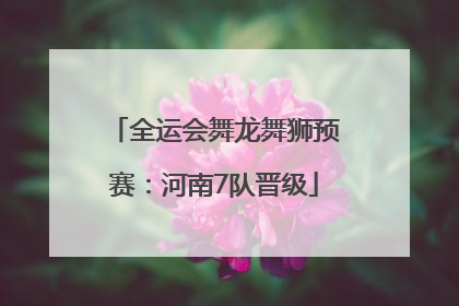 全运会舞龙舞狮预赛：河南7队晋级