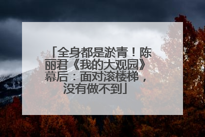 全身都是淤青！陈丽君《我的大观园》幕后：面对滚楼梯，没有做不到