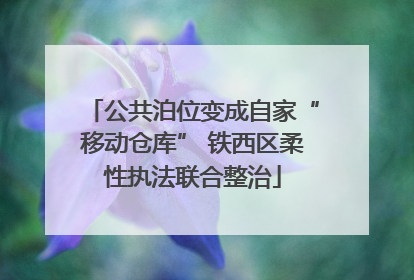公共泊位变成自家“移动仓库” 铁西区柔性执法联合整治