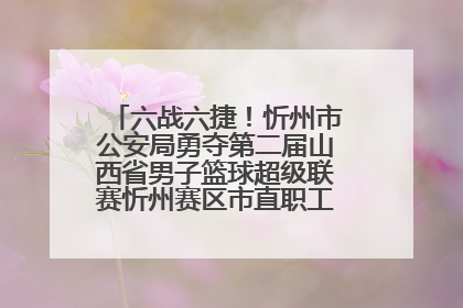 六战六捷！忻州市公安局勇夺第二届山西省男子篮球超级联赛忻州赛区市直职工组比赛冠军