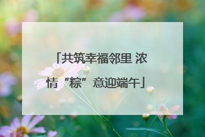 共筑幸福邻里 浓情“粽”意迎端午