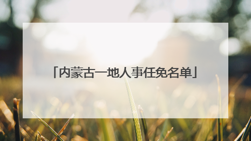内蒙古一地人事任免名单