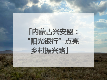 内蒙古兴安盟：“阳光银行”点亮乡村振兴路