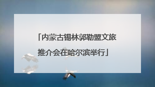 内蒙古锡林郭勒盟文旅推介会在哈尔滨举行
