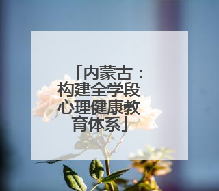 内蒙古：构建全学段心理健康教育体系