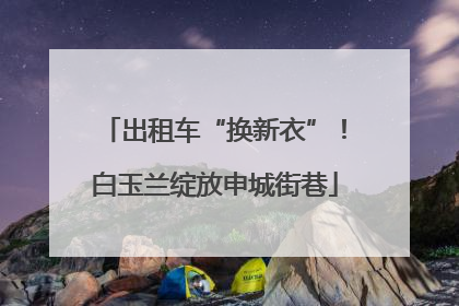 出租车“换新衣”！白玉兰绽放申城街巷