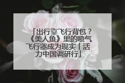 出行靠飞行背包？《美人鱼》里的喷气飞行器成为现实丨活力中国调研行