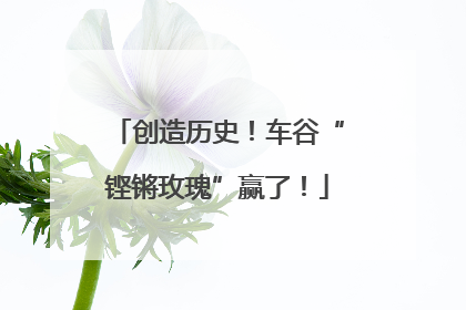 创造历史！车谷“铿锵玫瑰”赢了！