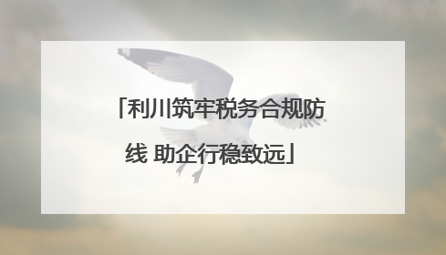 利川筑牢税务合规防线 助企行稳致远