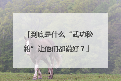 到底是什么“武功秘籍”让他们都说好？