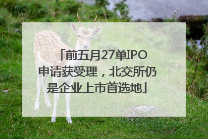 前五月27单IPO申请获受理，北交所仍是企业上市首选地