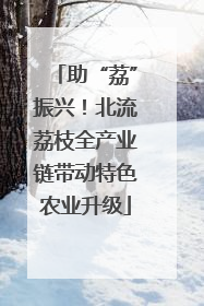 助“荔”振兴！北流荔枝全产业链带动特色农业升级