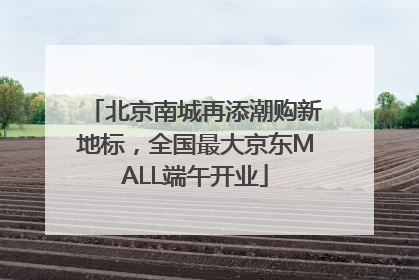 北京南城再添潮购新地标，全国最大京东MALL端午开业