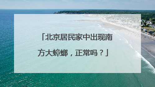 北京居民家中出现南方大蟑螂，正常吗？