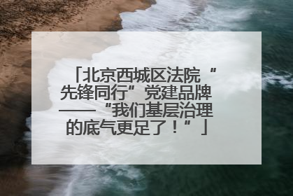 北京西城区法院“先锋同行”党建品牌——“我们基层治理的底气更足了！”