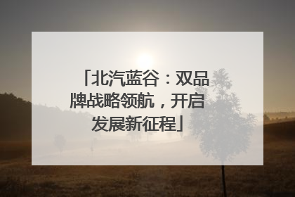 北汽蓝谷：双品牌战略领航，开启发展新征程