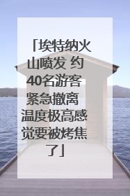 埃特纳火山喷发 约40名游客紧急撤离 温度极高感觉要被烤焦了
