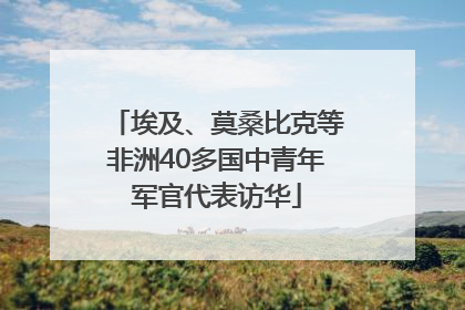 埃及、莫桑比克等非洲40多国中青年军官代表访华