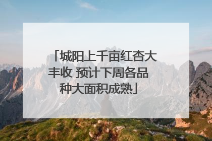 城阳上千亩红杏大丰收 预计下周各品种大面积成熟