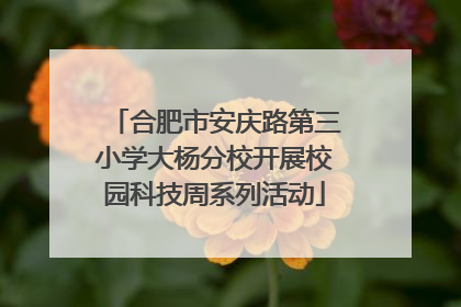合肥市安庆路第三小学大杨分校开展校园科技周系列活动