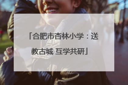 合肥市杏林小学：送教古城 互学共研