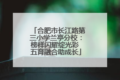 合肥市长江路第三小学兰亭分校：榜样闪耀绽光彩 五育融合助成长