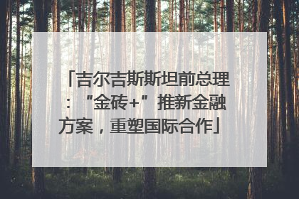 吉尔吉斯斯坦前总理：“金砖+”推新金融方案，重塑国际合作