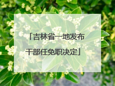 吉林省一地发布干部任免职决定
