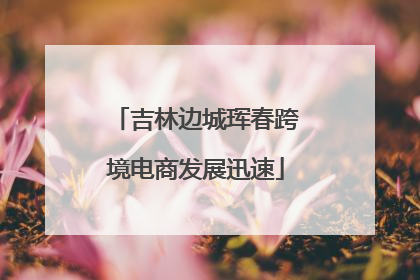 吉林边城珲春跨境电商发展迅速