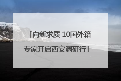 向新求质 10国外籍专家开启西安调研行