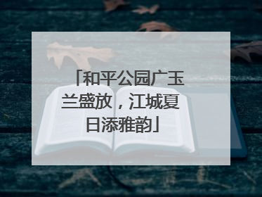 和平公园广玉兰盛放，江城夏日添雅韵