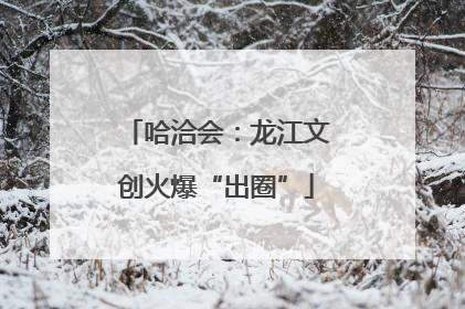 哈洽会：龙江文创火爆“出圈”