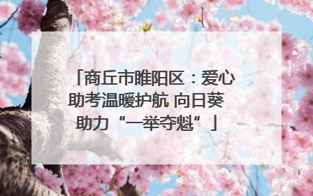 商丘市睢阳区：爱心助考温暖护航 向日葵助力“一举夺魁”