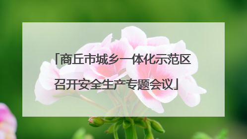 商丘市城乡一体化示范区召开安全生产专题会议