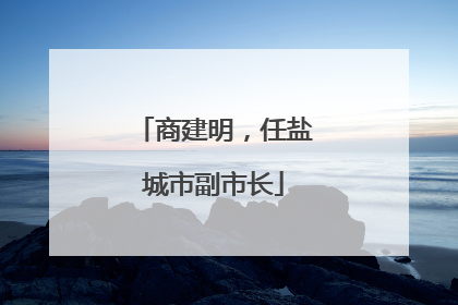 商建明，任盐城市副市长