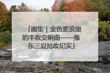 图集｜金色麦浪里的丰收交响曲——豫东三夏抢收纪实