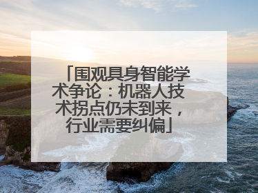 围观具身智能学术争论：机器人技术拐点仍未到来，行业需要纠偏