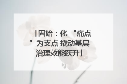 固始：化 “痛点”为支点 撬动基层治理效能跃升