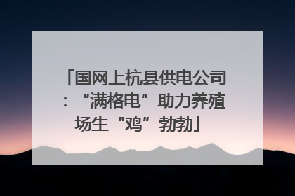 国网上杭县供电公司：“满格电”助力养殖场生“鸡”勃勃