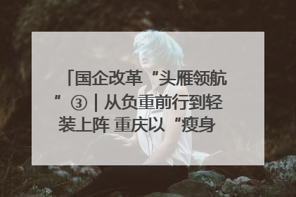 国企改革“头雁领航”③｜从负重前行到轻装上阵 重庆以“瘦身”谋“健体”