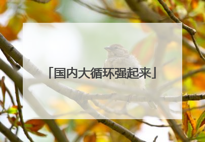 国内大循环强起来