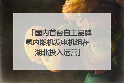 国内首台自主品牌氢内燃机发电机组在湖北投入运营