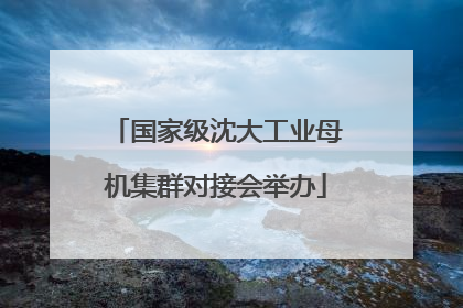 国家级沈大工业母机集群对接会举办