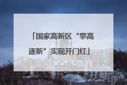 国家高新区“攀高逐新”实现开门红