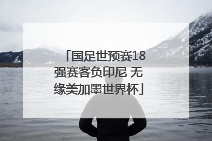 国足世预赛18强赛客负印尼 无缘美加墨世界杯