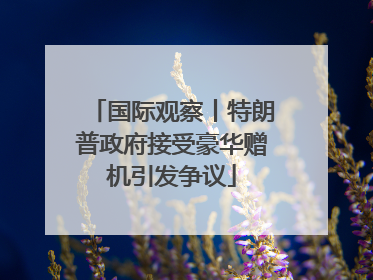 国际观察丨特朗普政府接受豪华赠机引发争议