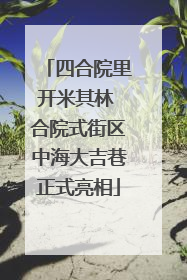 四合院里开米其林 合院式街区中海大吉巷正式亮相