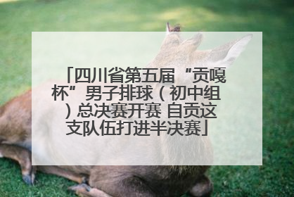 四川省第五届“贡嘎杯”男子排球（初中组）总决赛开赛 自贡这支队伍打进半决赛