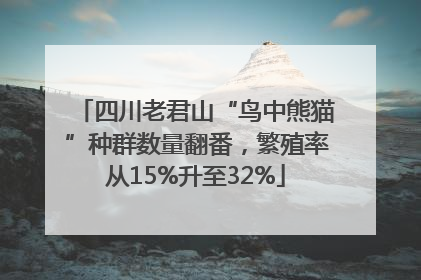 四川老君山“鸟中熊猫”种群数量翻番，繁殖率从15%升至32%