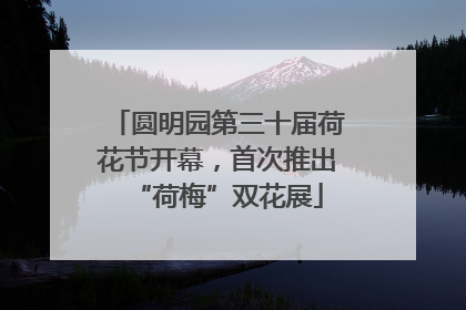圆明园第三十届荷花节开幕，首次推出“荷梅”双花展